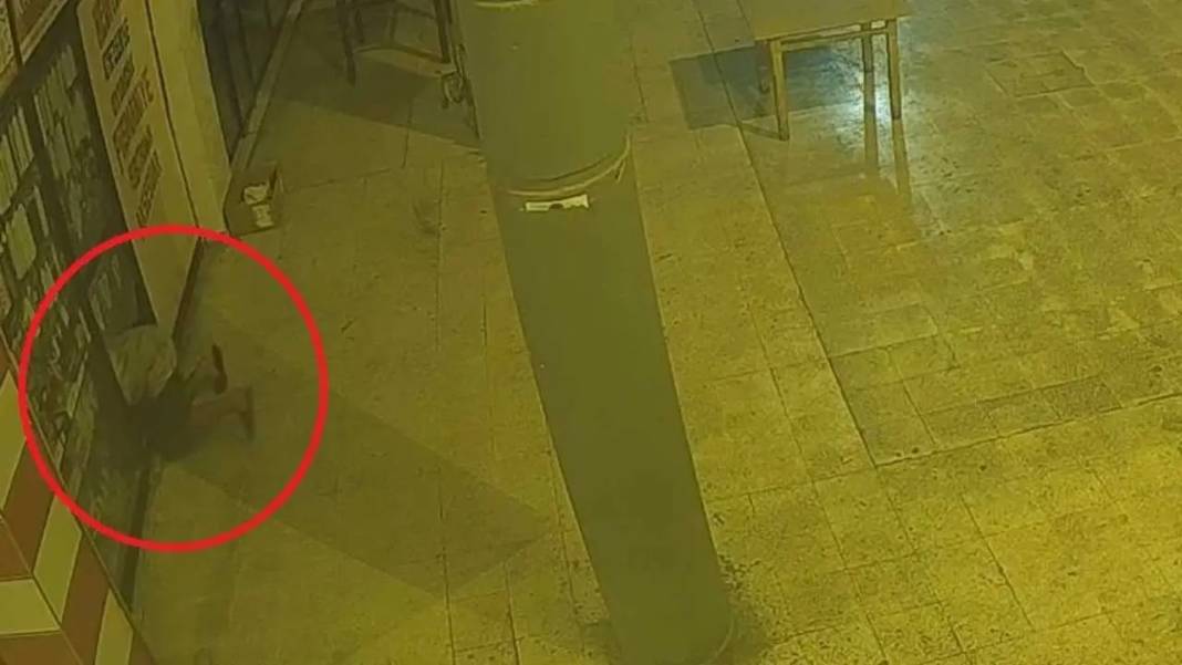 Adana’da Hırsızlık Zincirini Güvenlik Kameraları Ortaya Koydu! 2